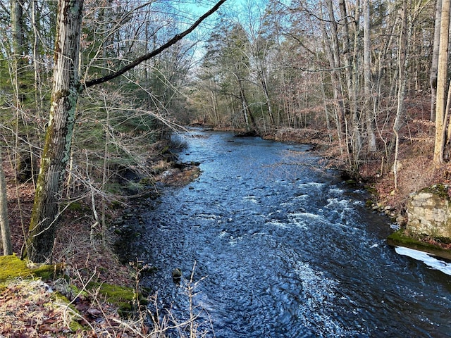 view of water feature