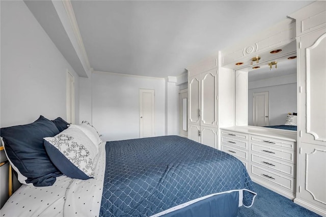 3755 Henry Hudson Pkwy Unit 7E, Bronx, NY 10463 - bedroom with carpet floors, ornamental molding, and a closet