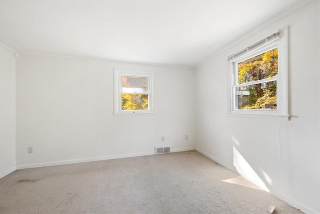 carpeted empty room featuring a wealth of natural light and crown molding