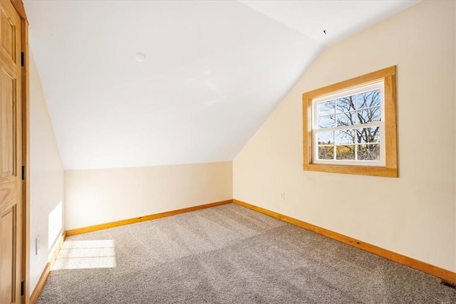 additional living space with carpet and vaulted ceiling