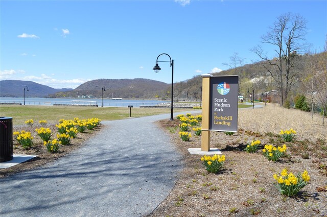 931 N Division St, Peekskill, NY 10566 - photo 38