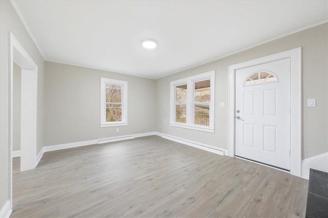 foyer featuring light hardwood / wood-style floors and a healthy amount of sunlight