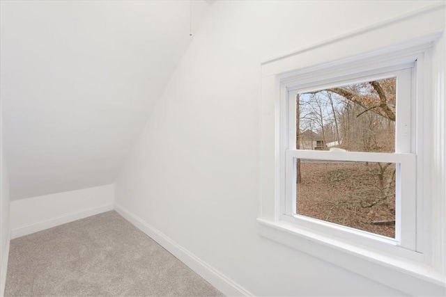 room details featuring carpet floors