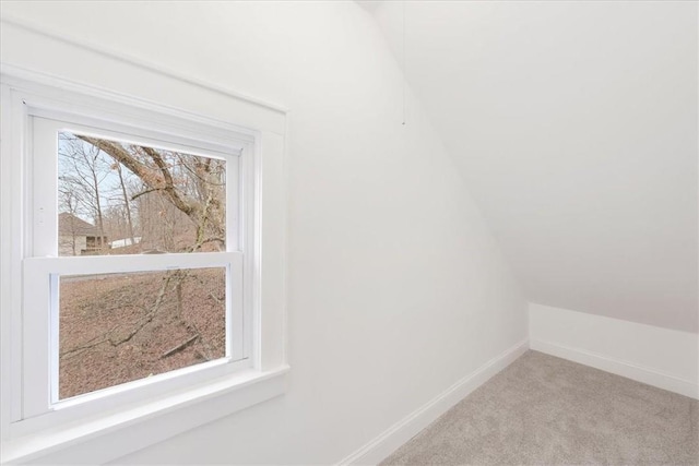 room details with carpet floors