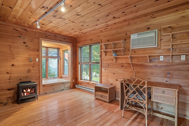 interior space with a wood stove, a wealth of natural light, light hardwood / wood-style floors, and wood walls