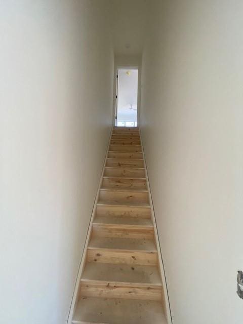 stairs featuring hardwood / wood-style flooring