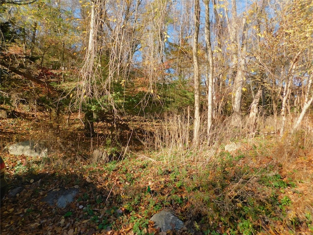 Listing photo 2 for LOT25 Enloe St, Lake Peekskill NY 10537