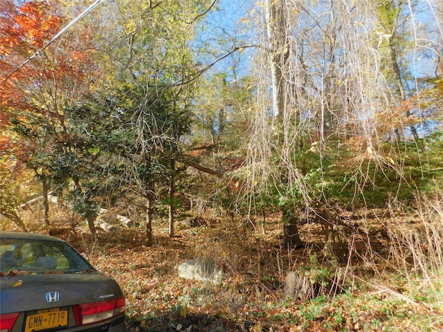 Listing photo 3 for LOT25 Enloe St, Lake Peekskill NY 10537