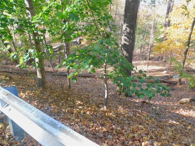 Listing photo 3 for LOT11 Ash St, Lake Peekskill NY 10537