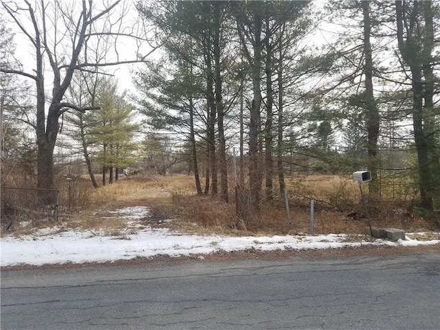 59 Lanahan Rd, Monticello NY, 12701 land for sale