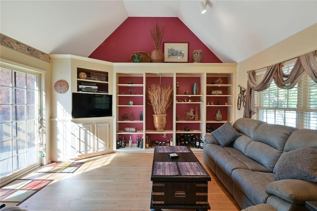 living room with hardwood / wood-style flooring and lofted ceiling