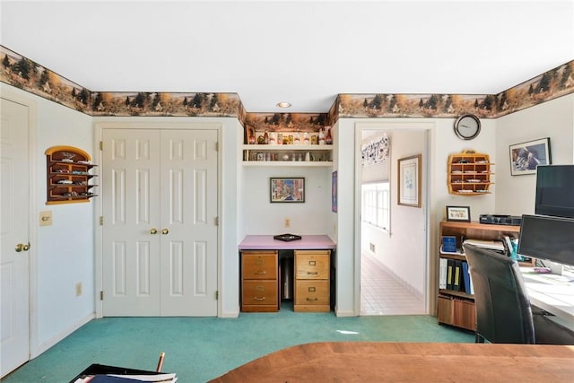 339 Jessup Rd, Florida, NY 10921 - office featuring carpet flooring