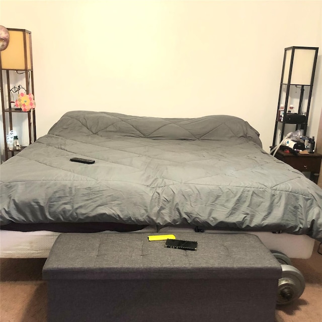 1668 Rte 9 Unit 10B, Wappingers Falls, NY 12590 - view of bedroom
