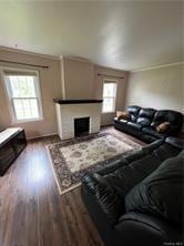 living room featuring dark hardwood / wood-style flooring and ornamental molding