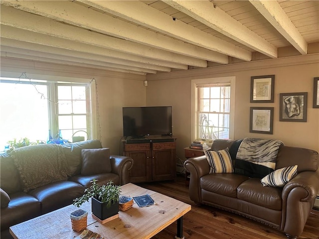 living room featuring beamed ceiling, dark hardwood / wood-style floors, and a wealth of natural light