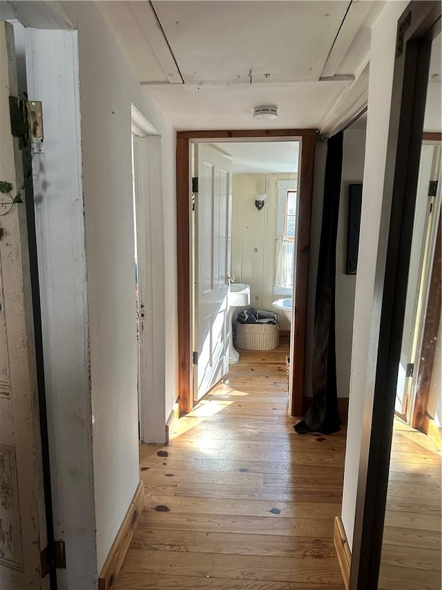 hallway featuring wood walls