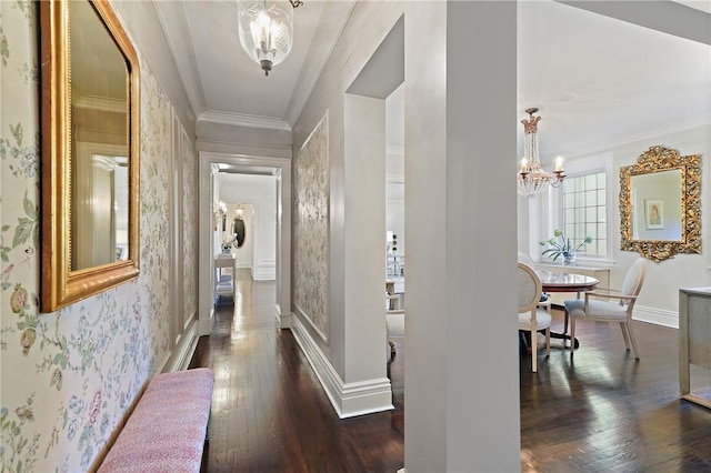 hallway featuring dark wood-type flooring, an inviting chandelier, and crown molding