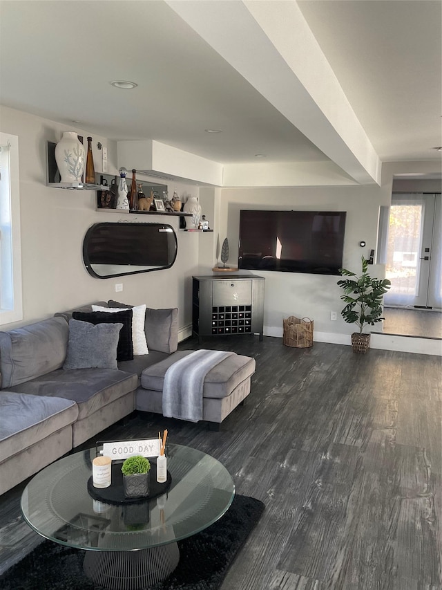 living room with hardwood / wood-style flooring