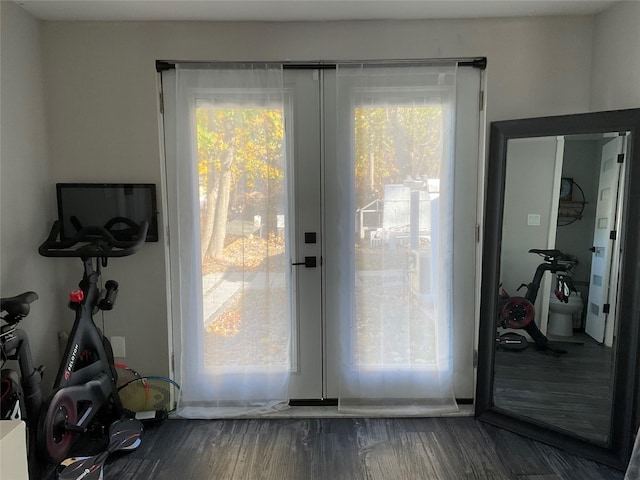 doorway to outside with a healthy amount of sunlight, dark wood-type flooring, and french doors