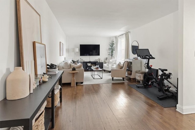 workout room with hardwood / wood-style flooring