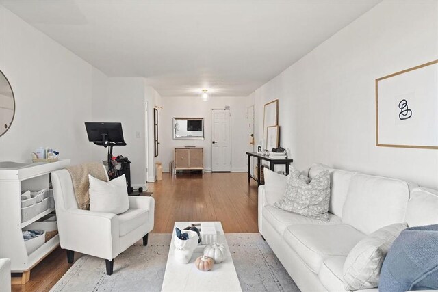 living room featuring hardwood / wood-style floors