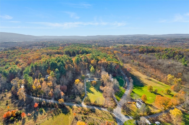 birds eye view of property with a mountain view