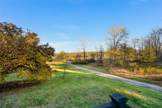 view of home's community with a yard and a rural view