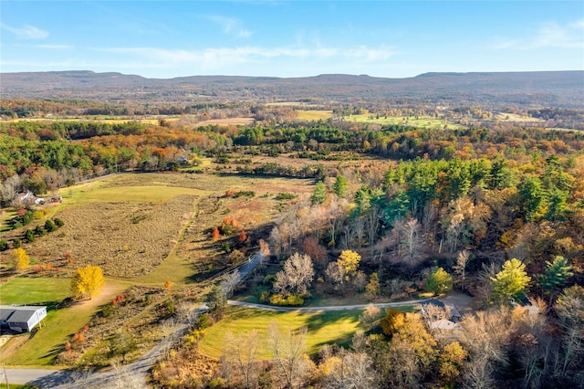 bird's eye view featuring a mountain view