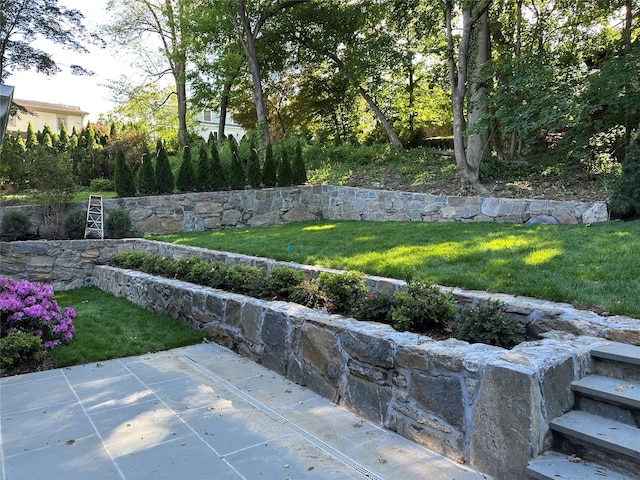 239 Rock Creek Ln, Scarsdale, NY 10583 - view of green lawn featuring a patio