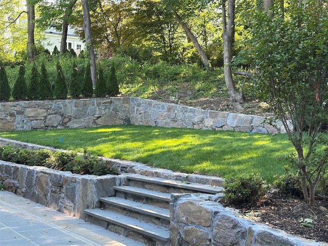 239 Rock Creek Ln, Scarsdale, NY 10583 - view of green lawn
