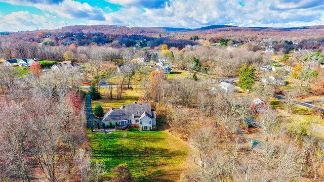 birds eye view of property featuring a mountain view