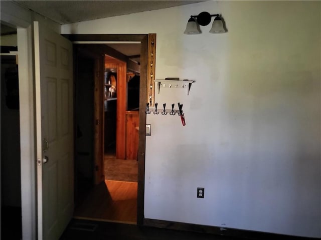 hallway featuring wood-type flooring and lofted ceiling