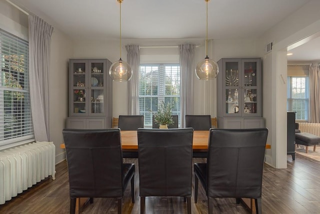 dining room featuring radiator heating unit and dark wood-type flooring