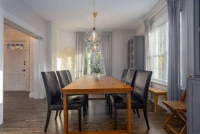 dining room featuring dark hardwood / wood-style flooring