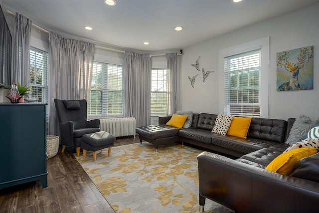 living room featuring hardwood / wood-style flooring, a healthy amount of sunlight, and radiator heating unit