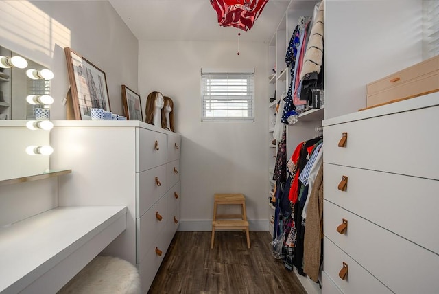 spacious closet featuring dark wood-type flooring