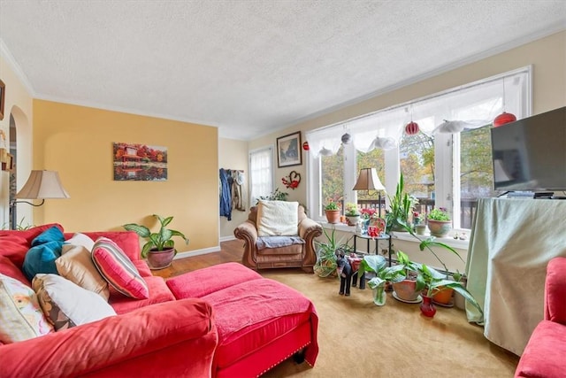 living room with carpet floors, a textured ceiling, and ornamental molding