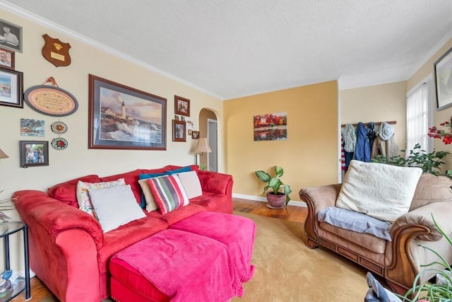 living room featuring a textured ceiling, carpet floors, and crown molding