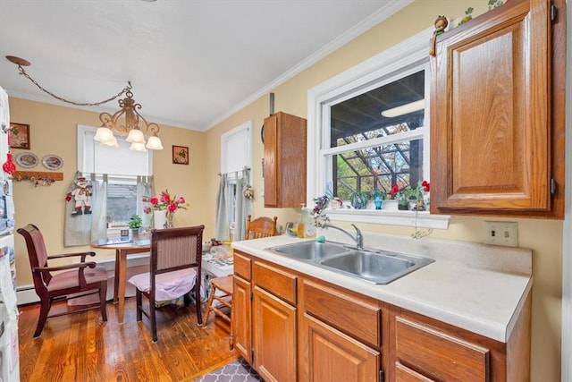 kitchen with dark hardwood / wood-style floors, sink, a wealth of natural light, and an inviting chandelier