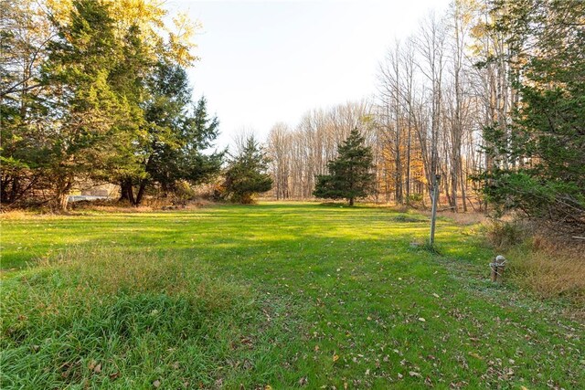 62 Shadblow Ln, Clinton Corners, NY 12514 - photo 27