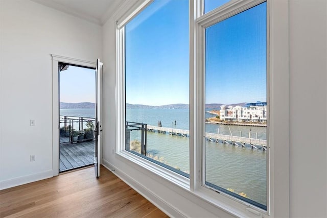 entryway with light hardwood / wood-style floors, a water view, and a wealth of natural light