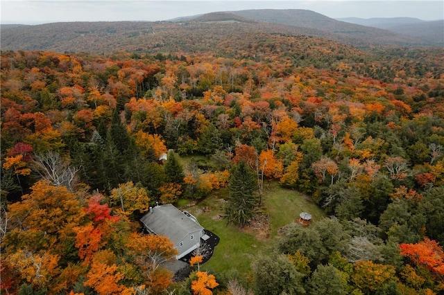 drone / aerial view featuring a mountain view