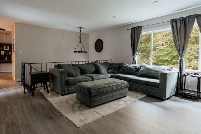 living room featuring wood-type flooring