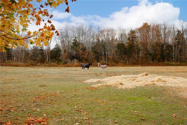 view of yard with a rural view