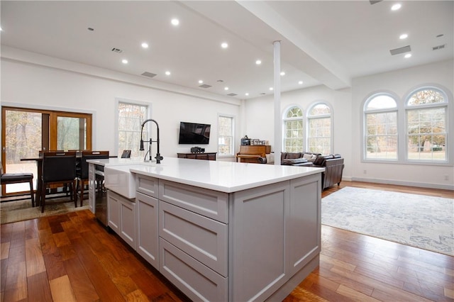 kitchen featuring gray cabinetry, a center island with sink, dark hardwood / wood-style floors, and sink