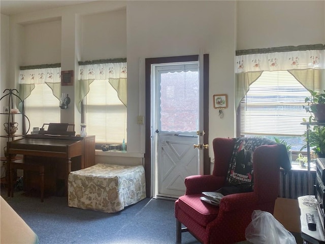 interior space with carpet floors