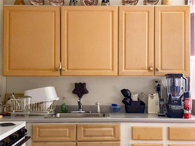 kitchen featuring light brown cabinets and sink