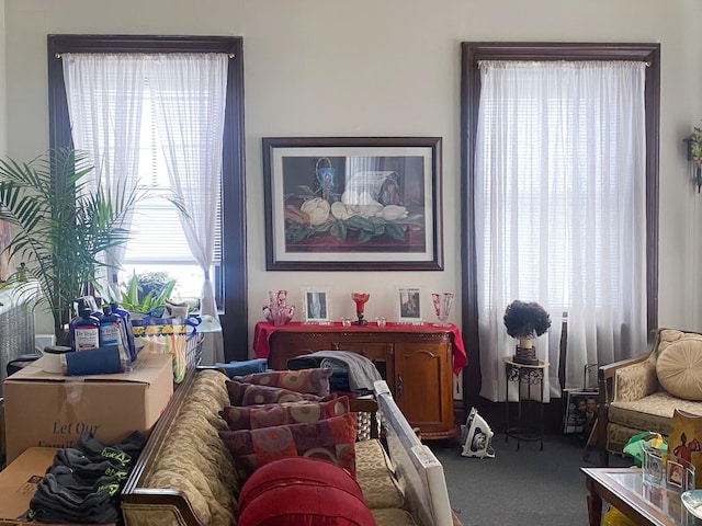 sitting room featuring carpet