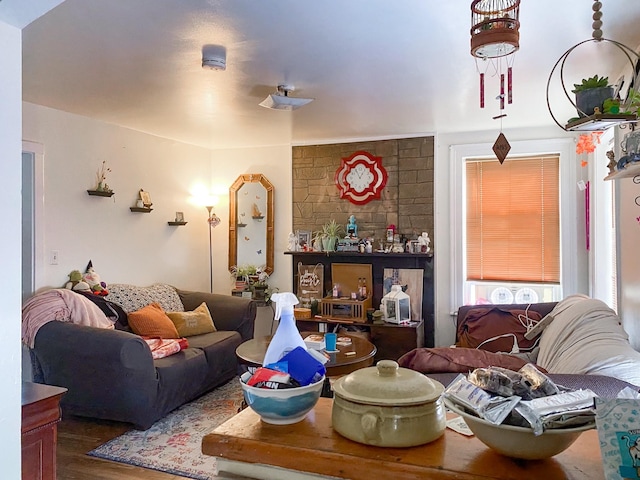 living room with hardwood / wood-style floors