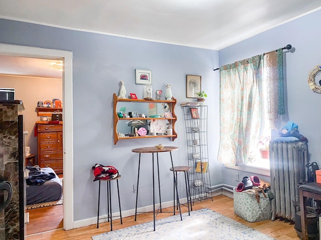 interior space with radiator heating unit and wood-type flooring